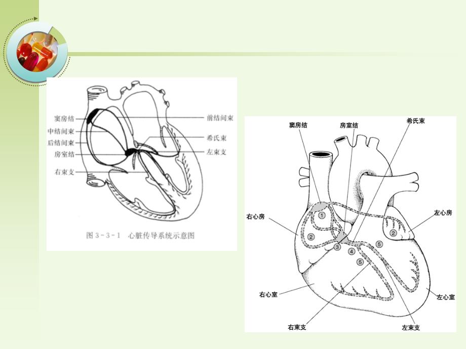 危险性心律失常的急救与护理PPT课件_第4页