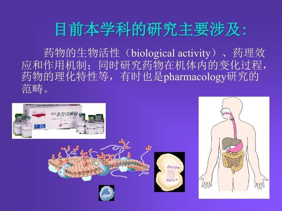 药理学-绪论PPT_第5页