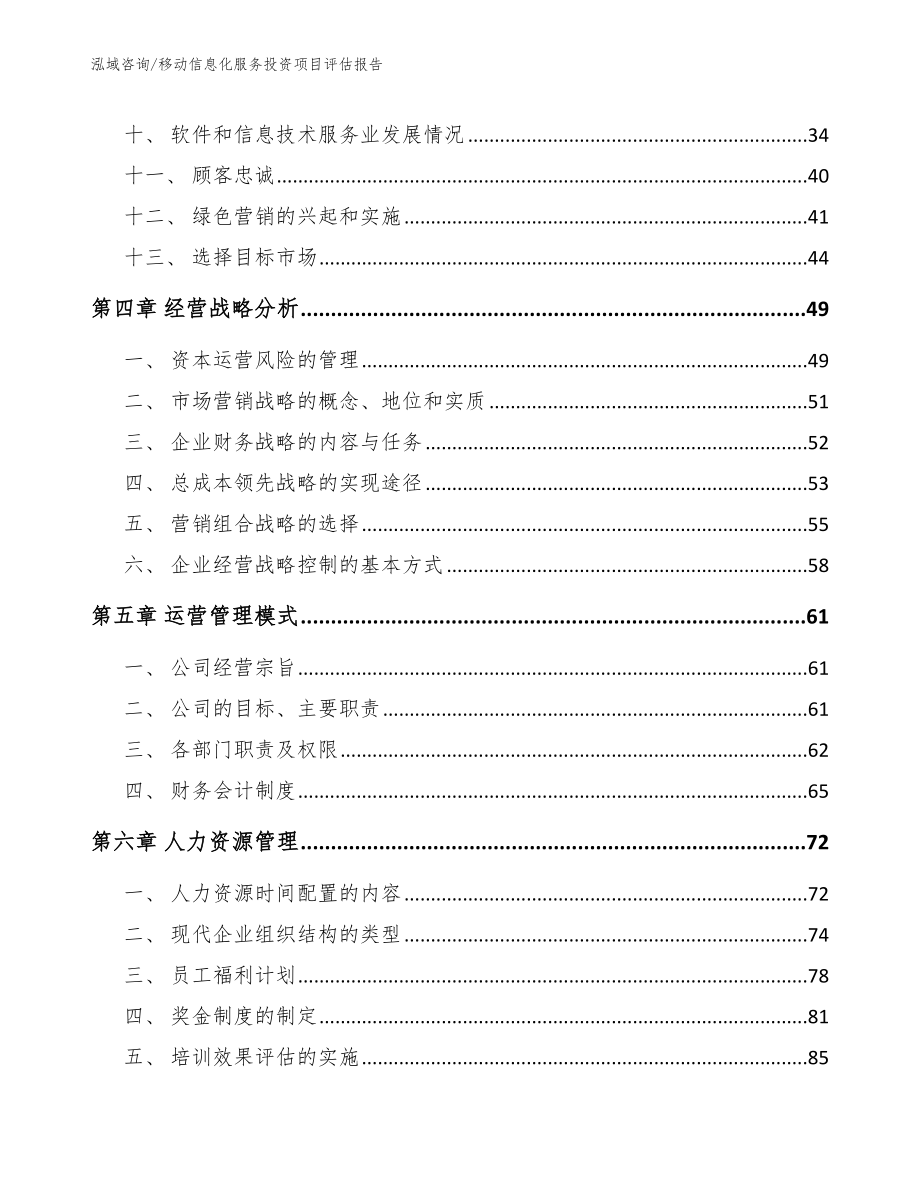 移动信息化服务投资项目评估报告【模板】_第4页