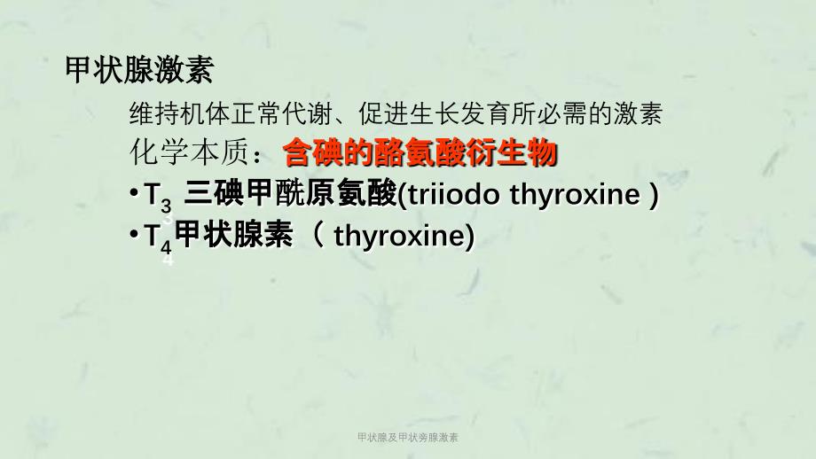 甲状腺及甲状旁腺激素课件_第4页