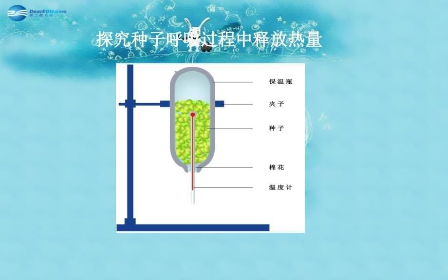 七年级生物上册第7章第1节能量的释放和利用第2课时参考课件新版苏科版_第5页