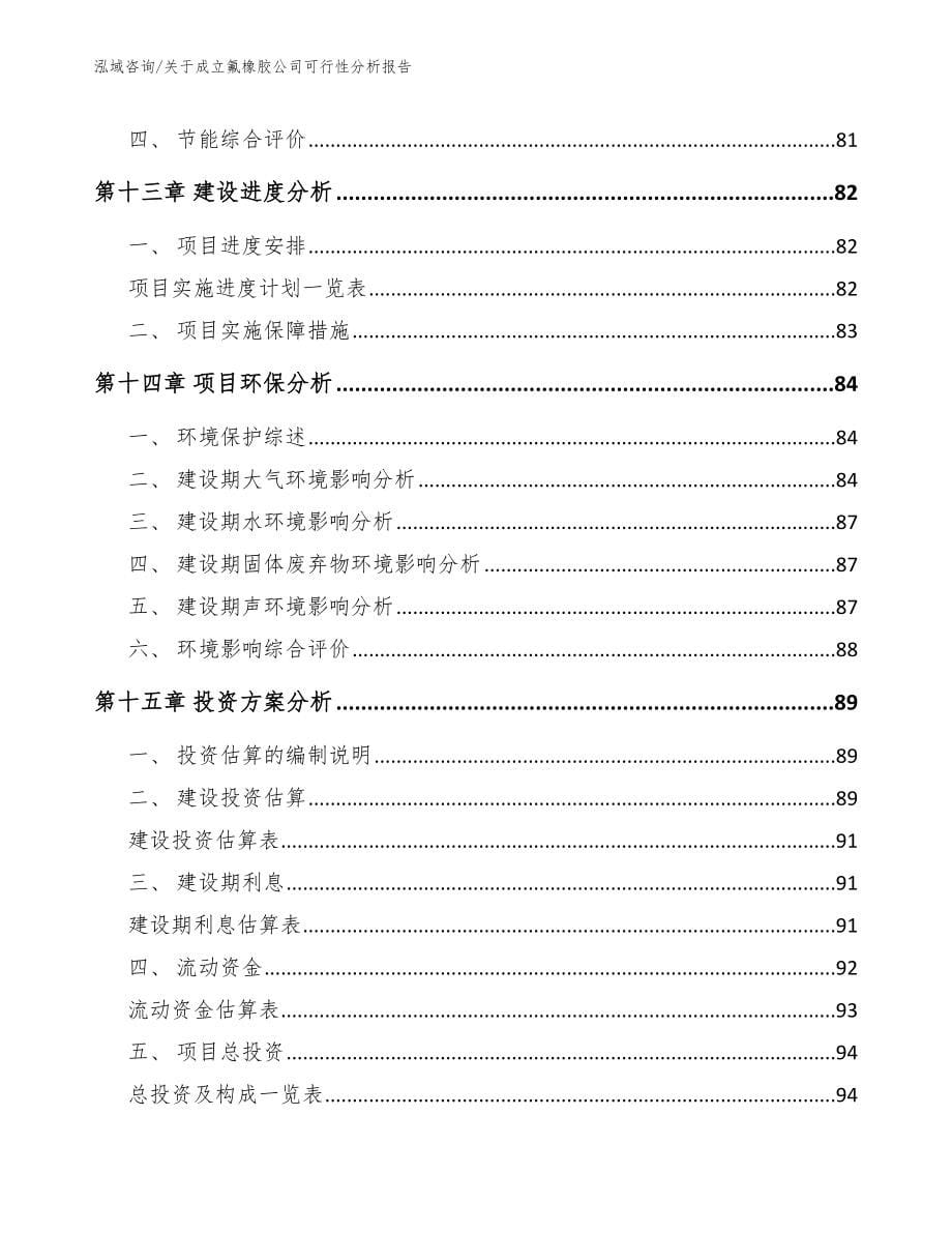 关于成立氟橡胶公司可行性分析报告模板范文_第5页