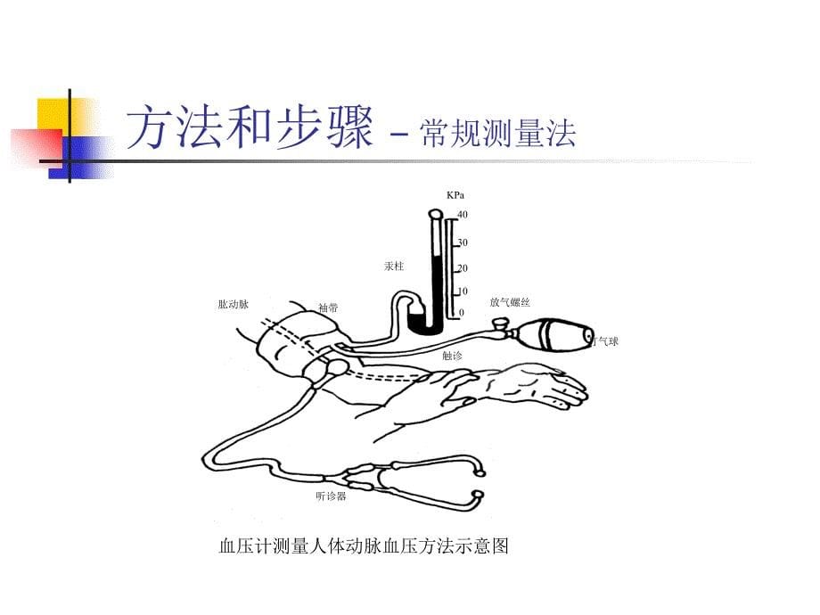 最新：动脉血压测定及运动对血压影响文档资料_第5页