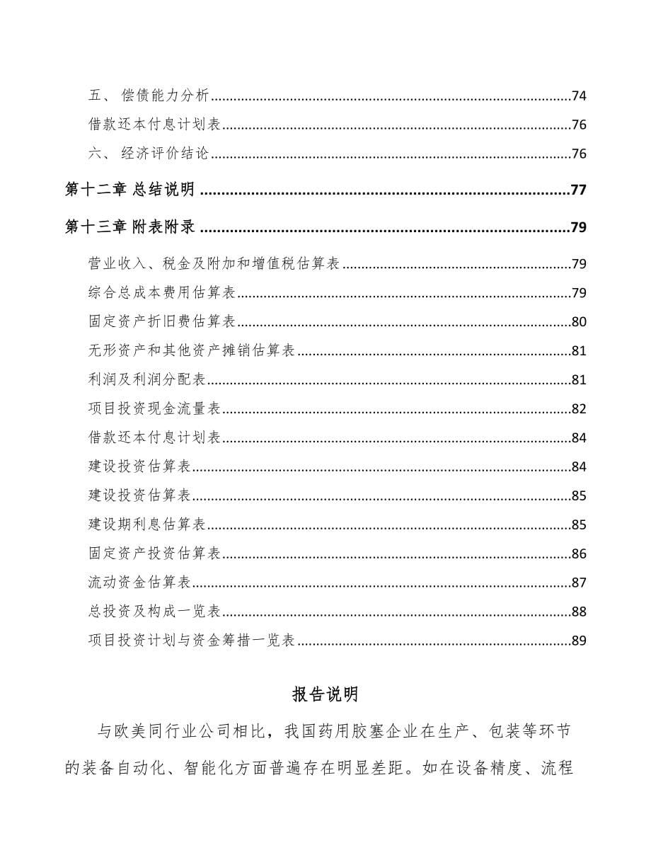 安徽注射药品包装材料项目可行性研究报告_第5页