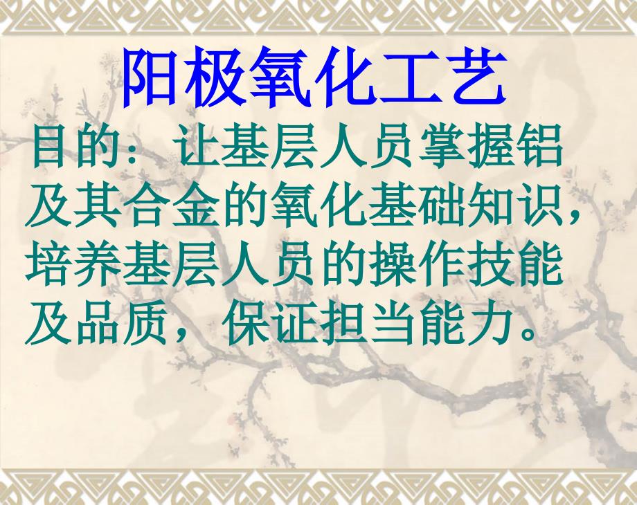 阳极氧化工艺_第1页