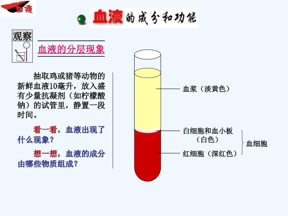 苏教版七年级下册第十章第一节血液和血型共48张PPT2_第4页