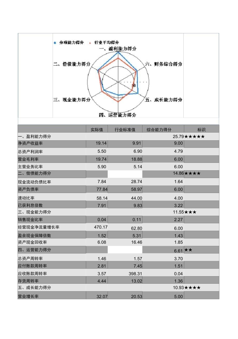 企业年度财务分析报告模板_第5页