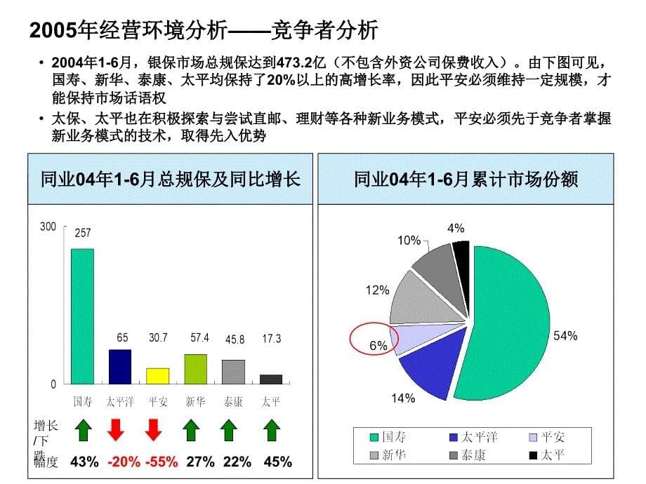 XXXX年银保整体经营计划(正式版)_第5页