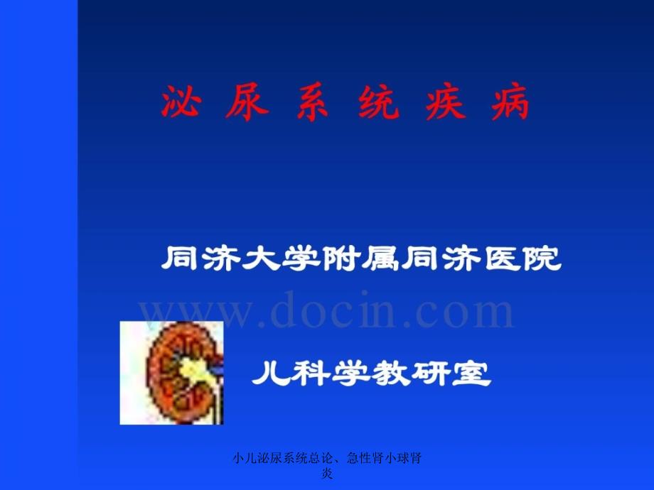 小儿泌尿系统总论、急性肾小球肾炎课件_第1页