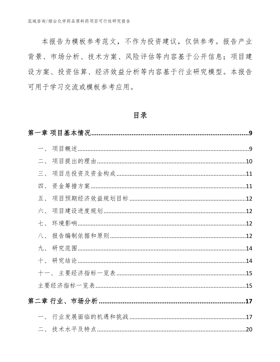 烟台化学药品原料药项目可行性研究报告模板范本_第3页