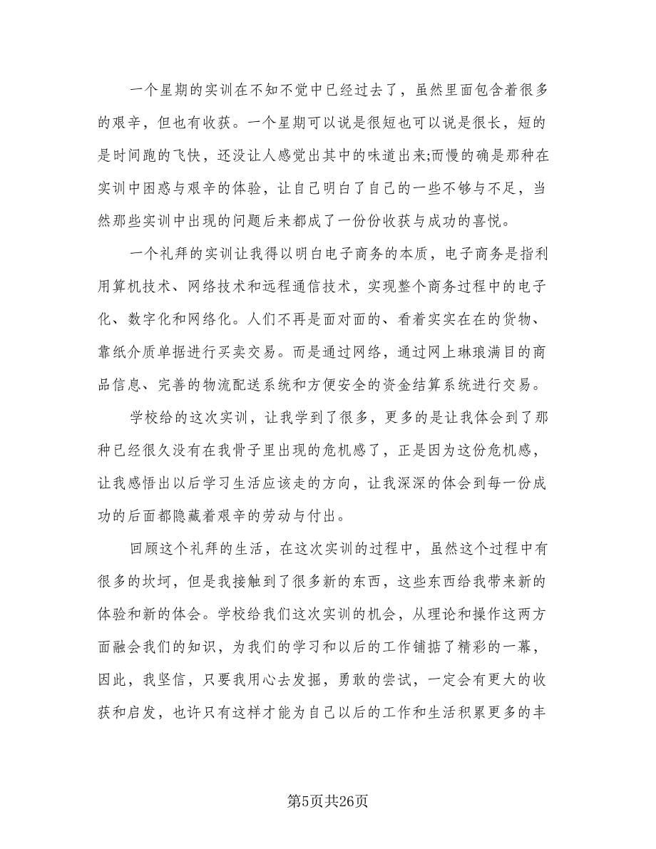 2023年电子商务实习总结参考范本（九篇）.doc_第5页