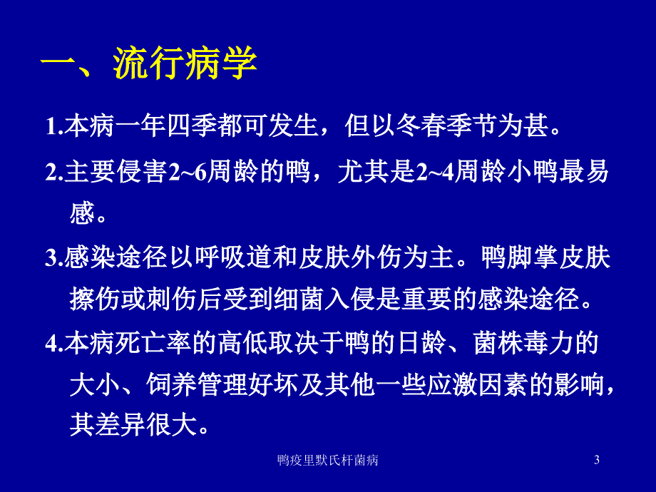 鸭疫里默氏杆菌病课件_第3页