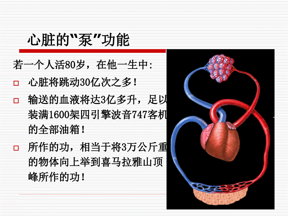 病理生理学通用课件心力衰竭_第2页