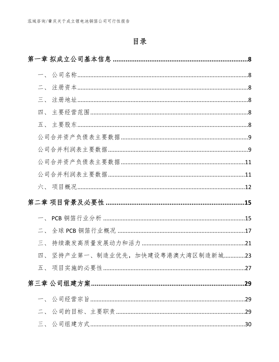 肇庆关于成立锂电池铜箔公司可行性报告【模板参考】_第2页