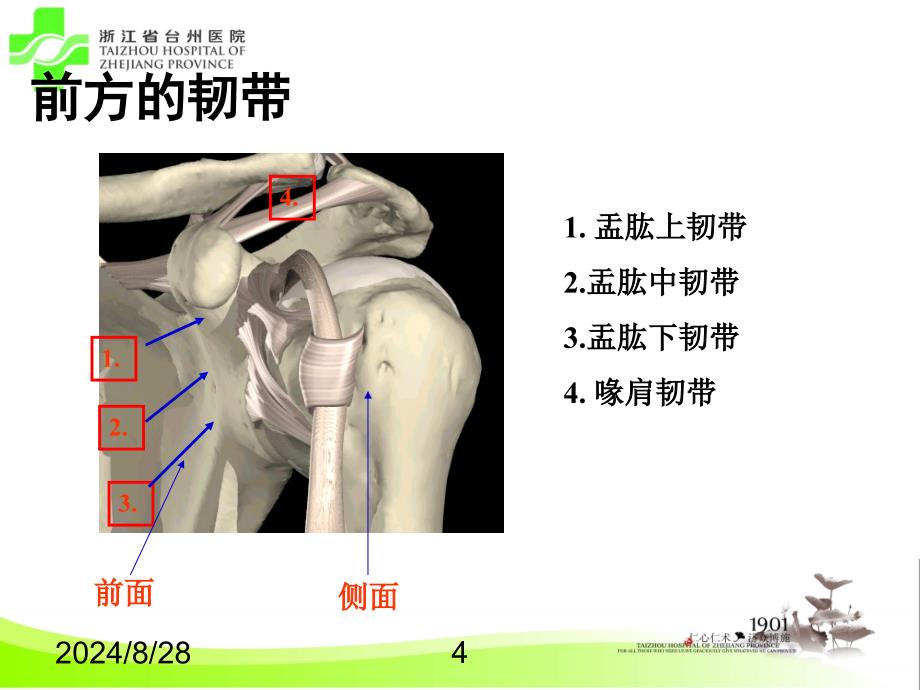 肩关节损伤影像学评估ppt课件_第4页