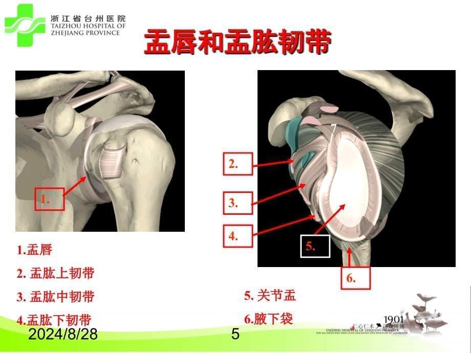 肩关节损伤影像学评估ppt课件_第5页