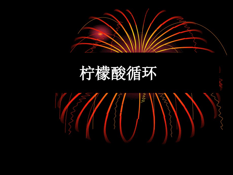 生物化学柠檬酸循环_第1页