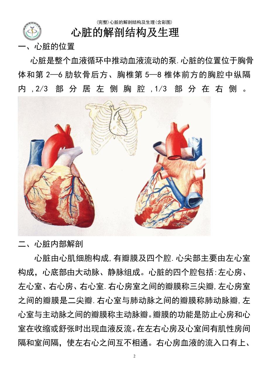 (最新整理)心脏的解剖结构及生理(含彩图)_第2页