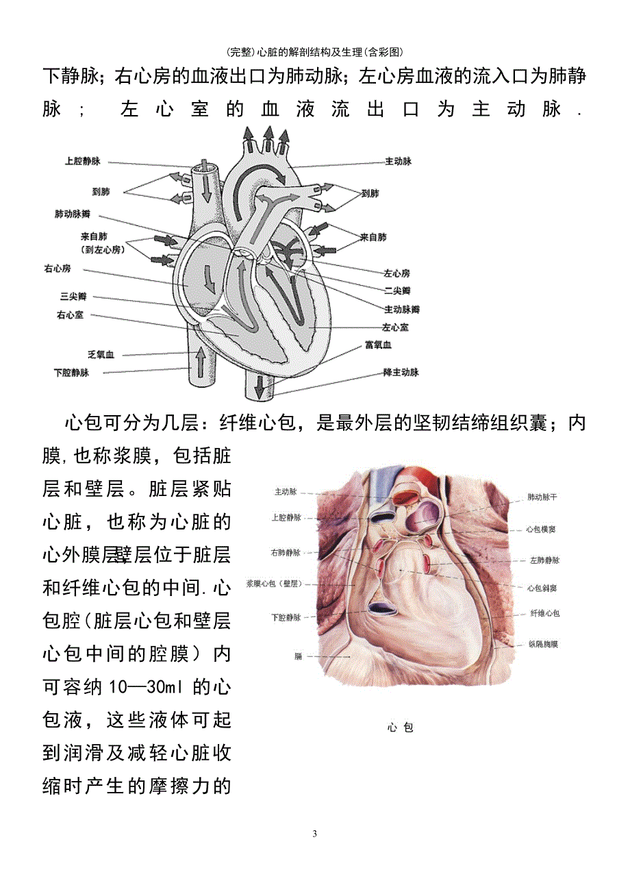 (最新整理)心脏的解剖结构及生理(含彩图)_第3页