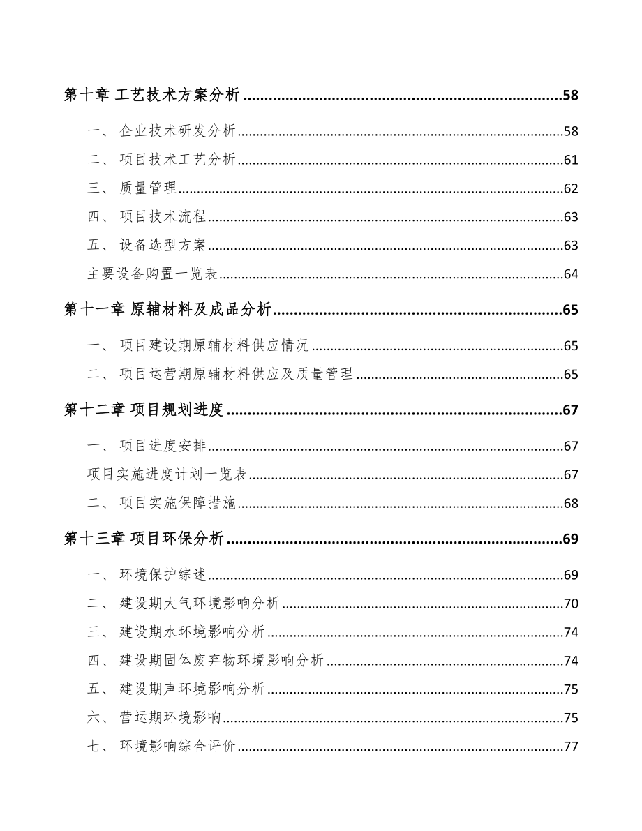 万州区汽车灯具项目可行性研究报告_第3页