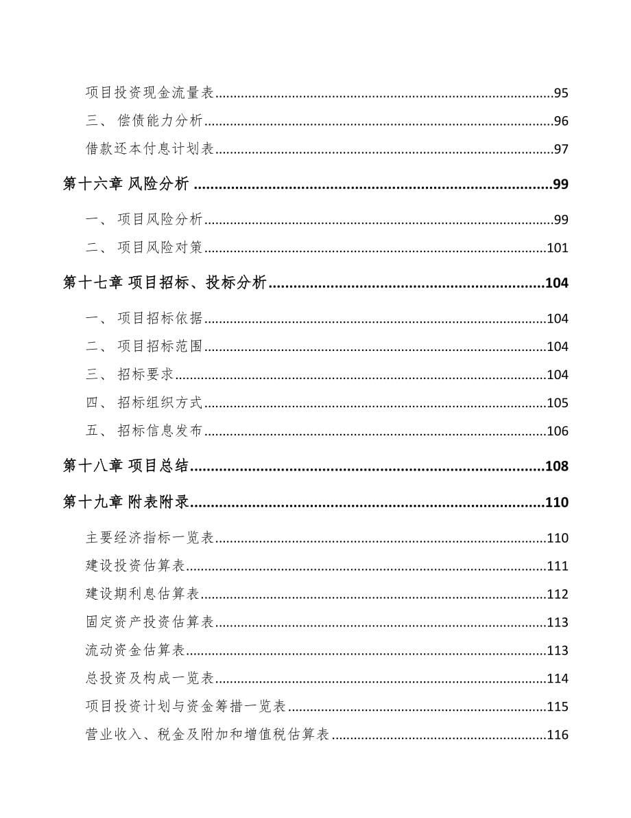 万州区汽车灯具项目可行性研究报告_第5页