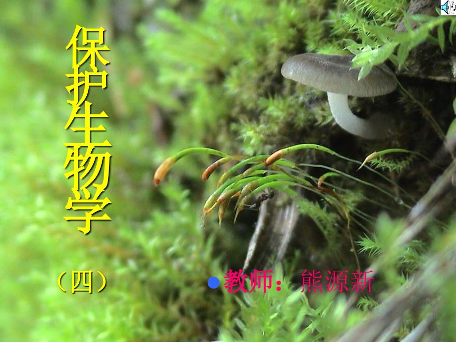 保护生物学基础课件2_第1页