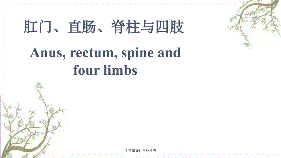 生殖器脊柱四肢检查课件_第1页