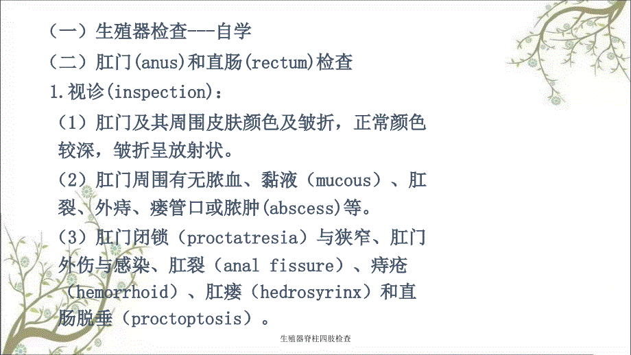 生殖器脊柱四肢检查课件_第4页