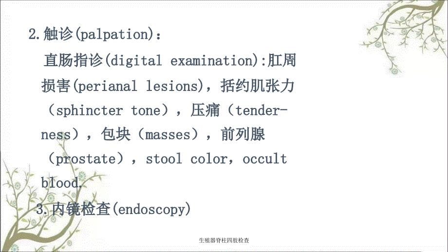 生殖器脊柱四肢检查课件_第5页