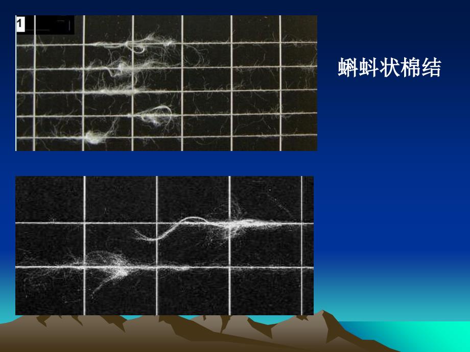 第五章棉结杂质和白星ppt课件_第2页