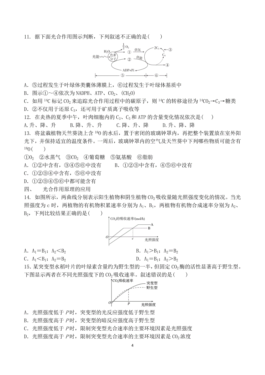 新高考一轮复习 光合作用题型总结 .docx_第4页