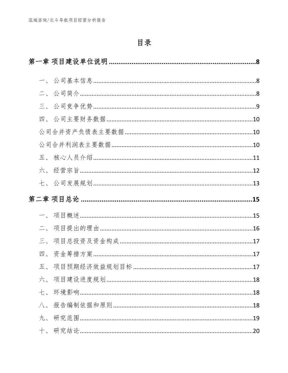 北斗导航项目经营分析报告范文参考_第1页