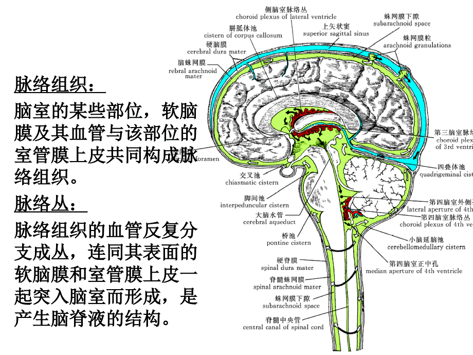 《术中脑积水》PPT课件.ppt_第4页