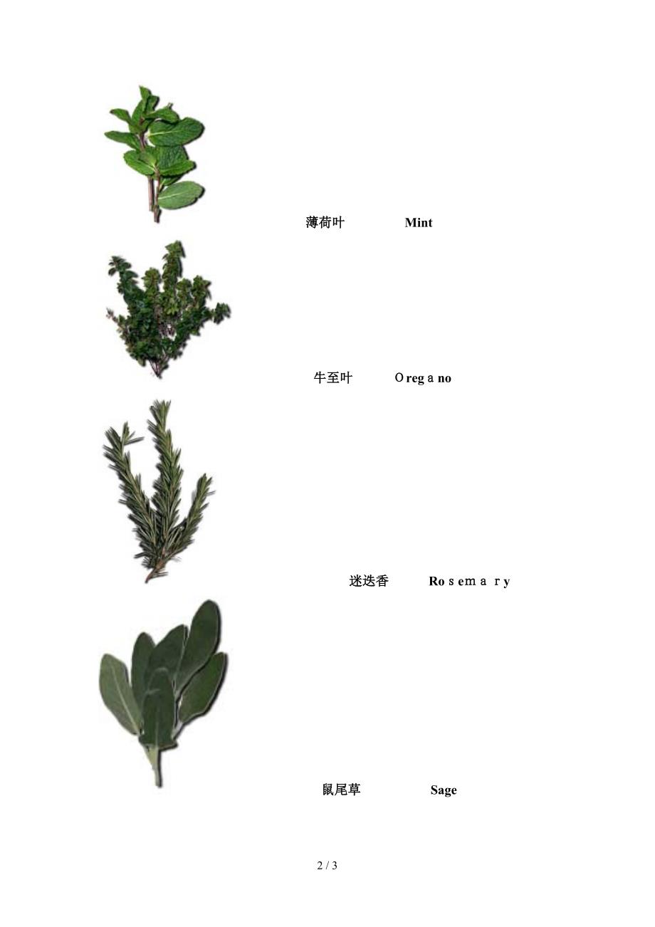 HERBS 香草类集锦(1)_第2页