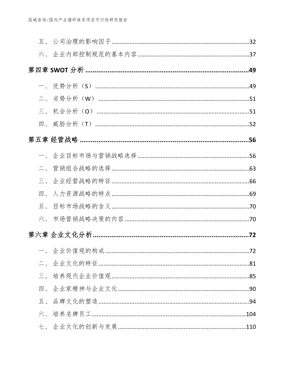 国内产业循环体系项目可行性研究报告（模板参考）_第4页