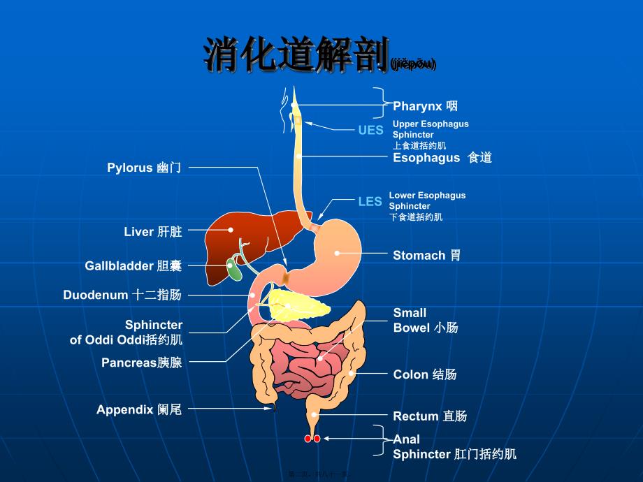 医学专题—消化系统常用药鲁临29089_第2页