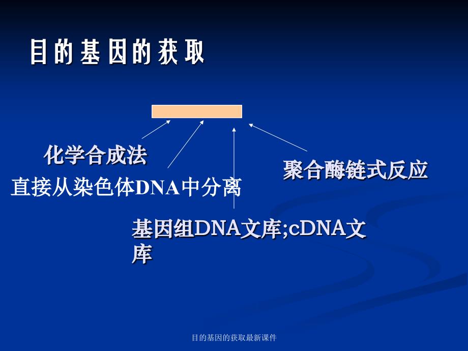 目的基因的获取课件_第3页