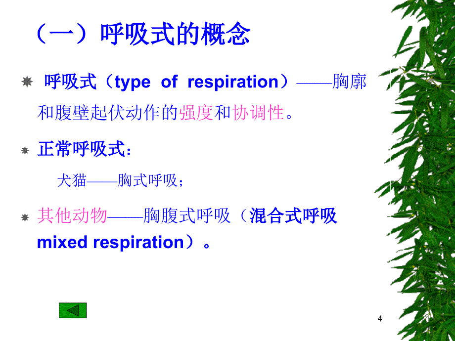 推荐精选呼吸系统的临床检查_第4页