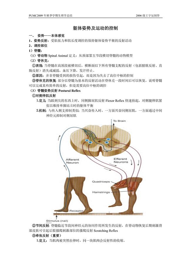 生理学复习资料：高雪神经四 运动