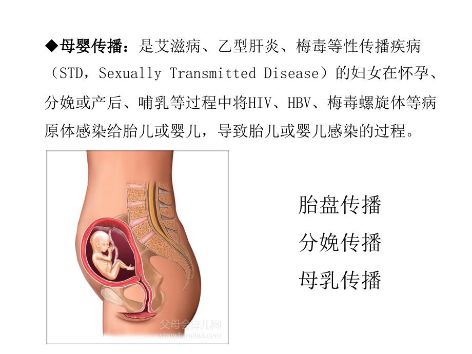 母婴垂直传播疾病_第3页