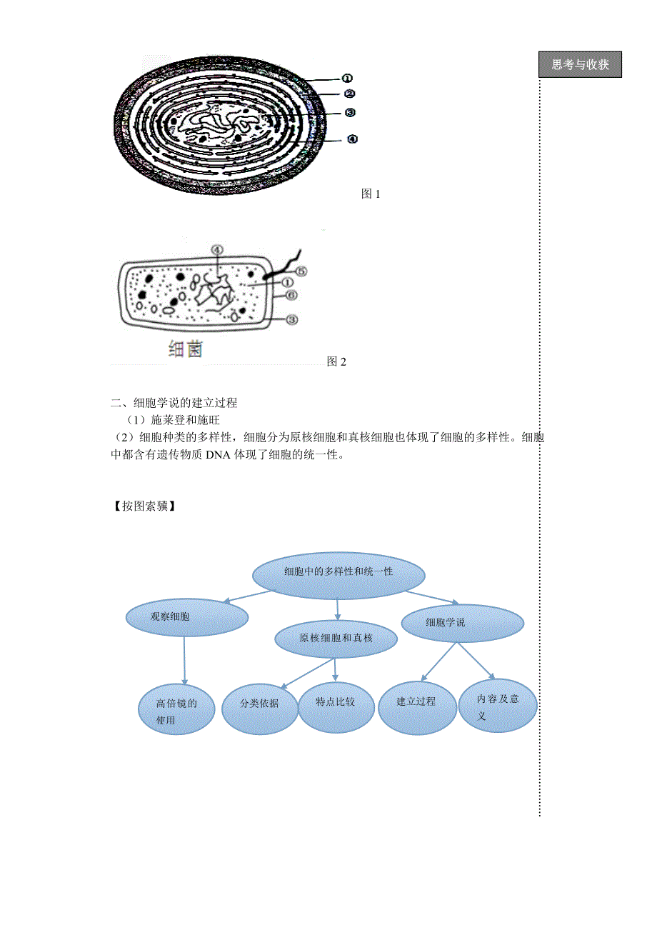 高中生物必修一(人教版)第二章组成细胞的分子讲义_第3页