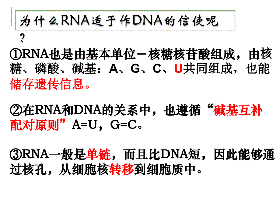 41基因指导蛋白质的合成_第4页