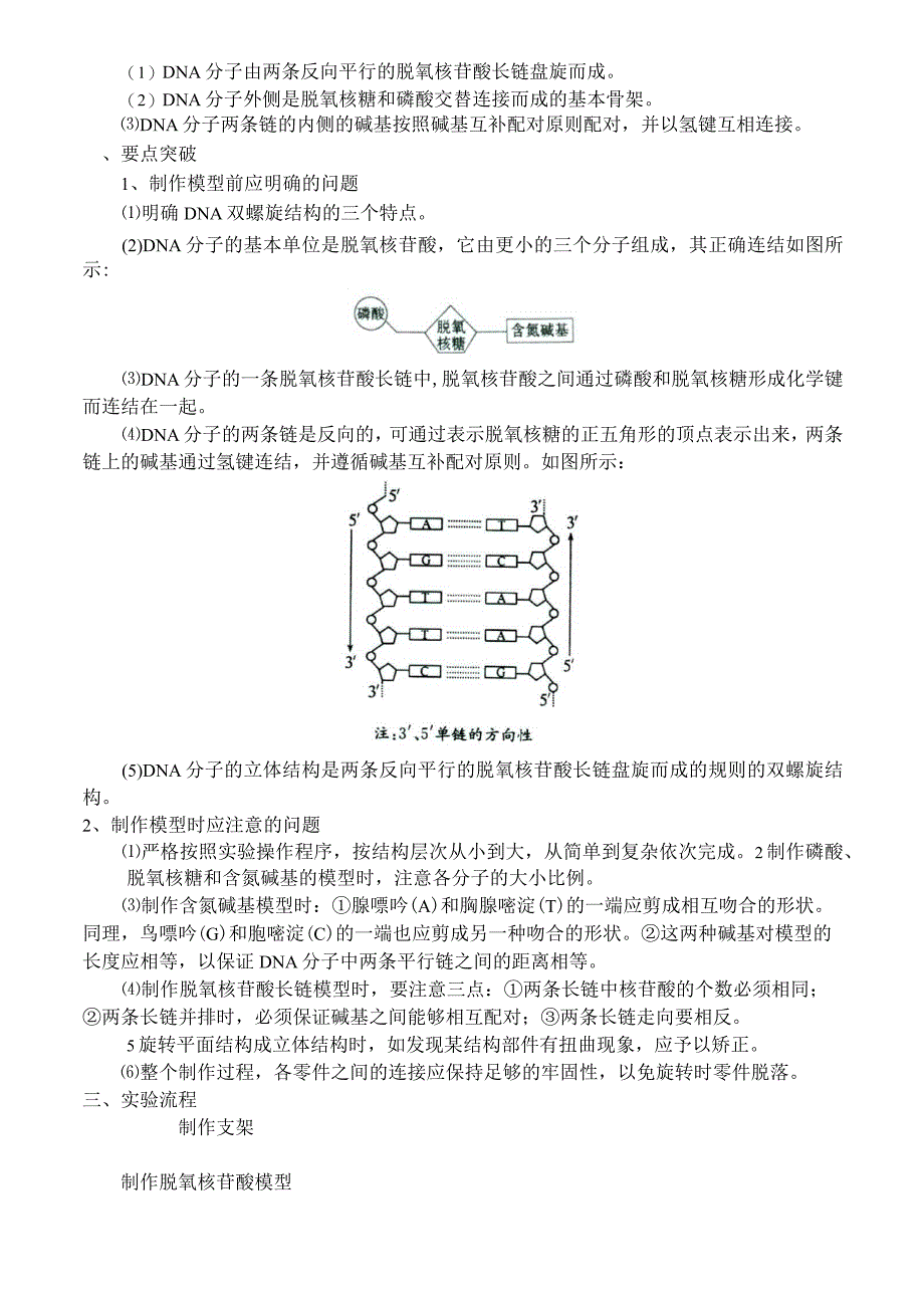 dna分子的结构_第4页