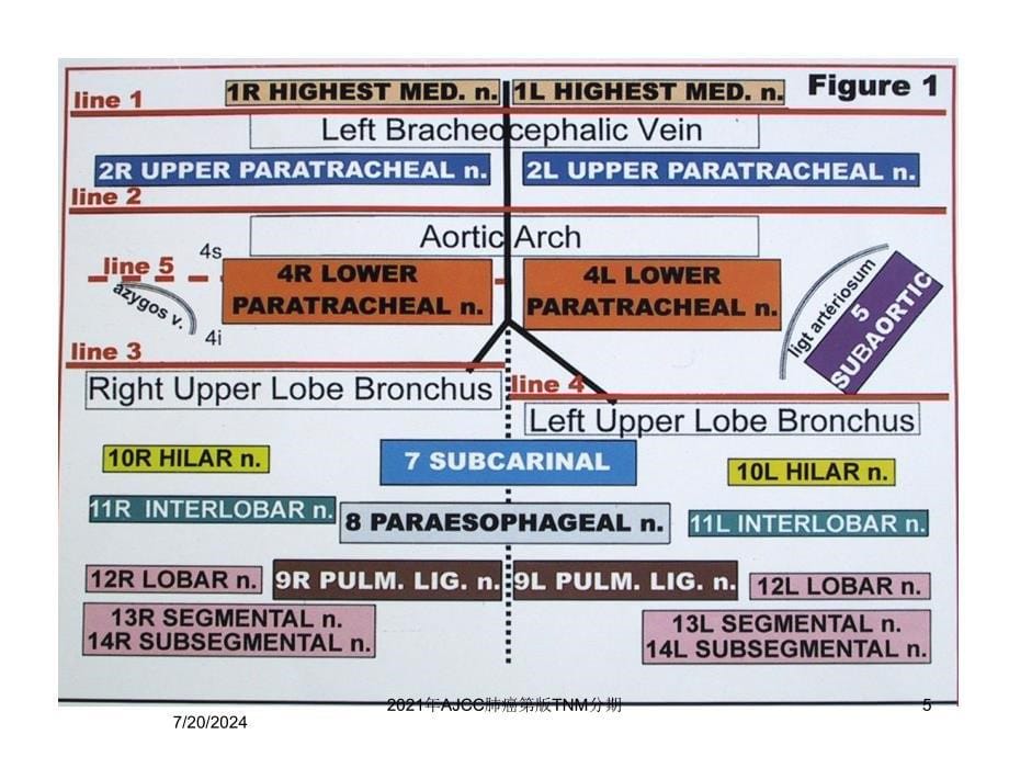 2021年AJCC肺癌第版TNM分期课件_第5页