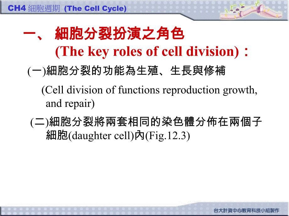 四章細胞週期thecellcycle_第2页