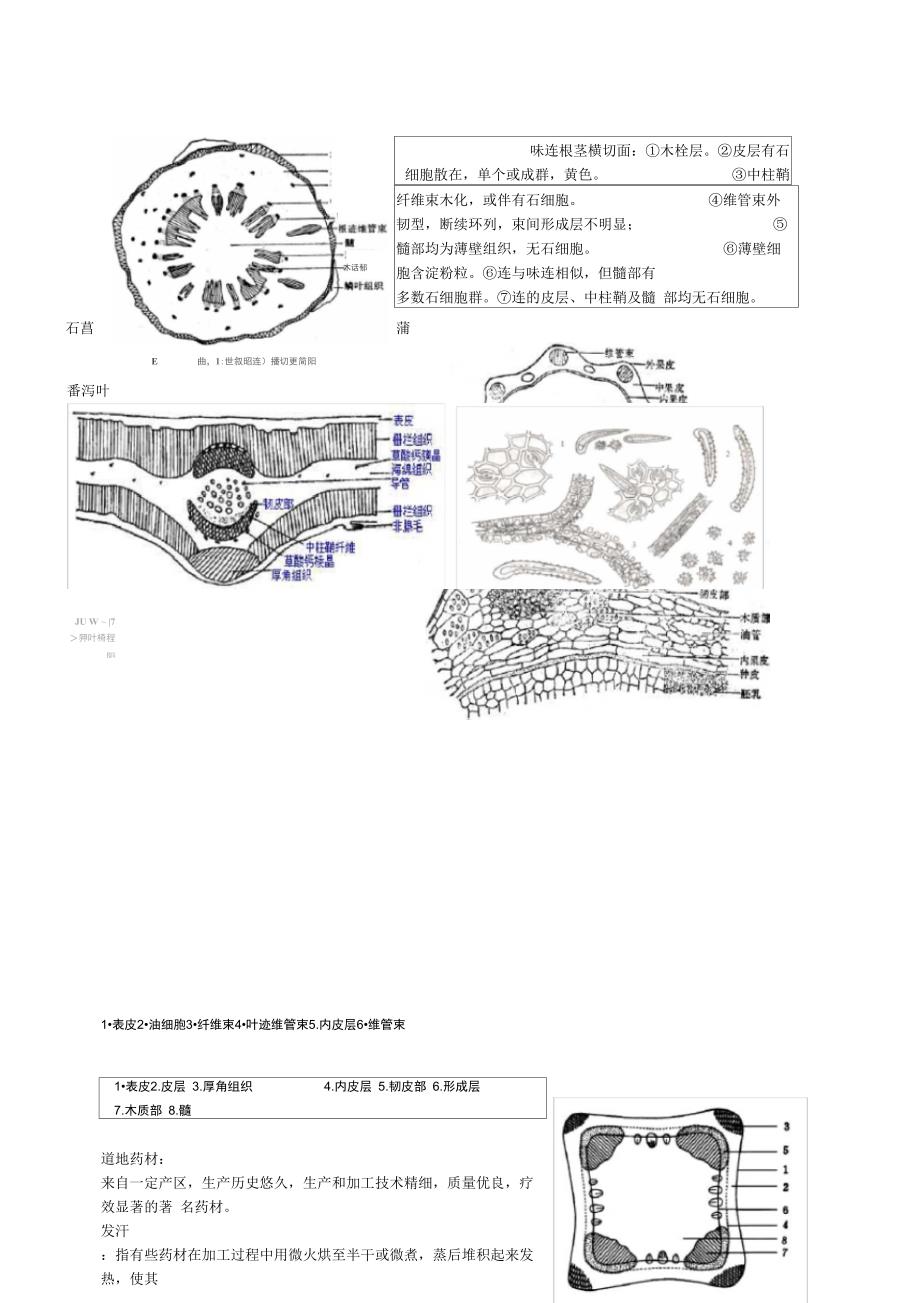 中药鉴定最后总结_第2页