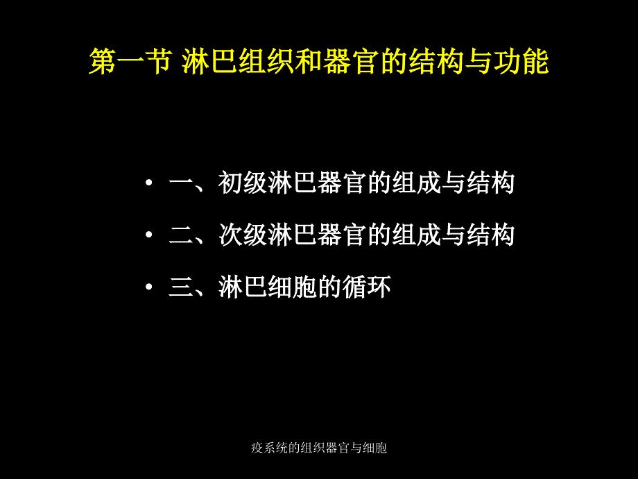 疫系统的组织器官与细胞课件_第4页