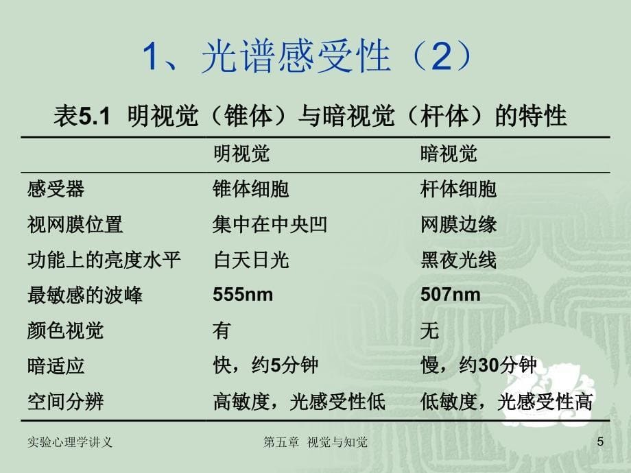 第五章视觉与听觉_第5页