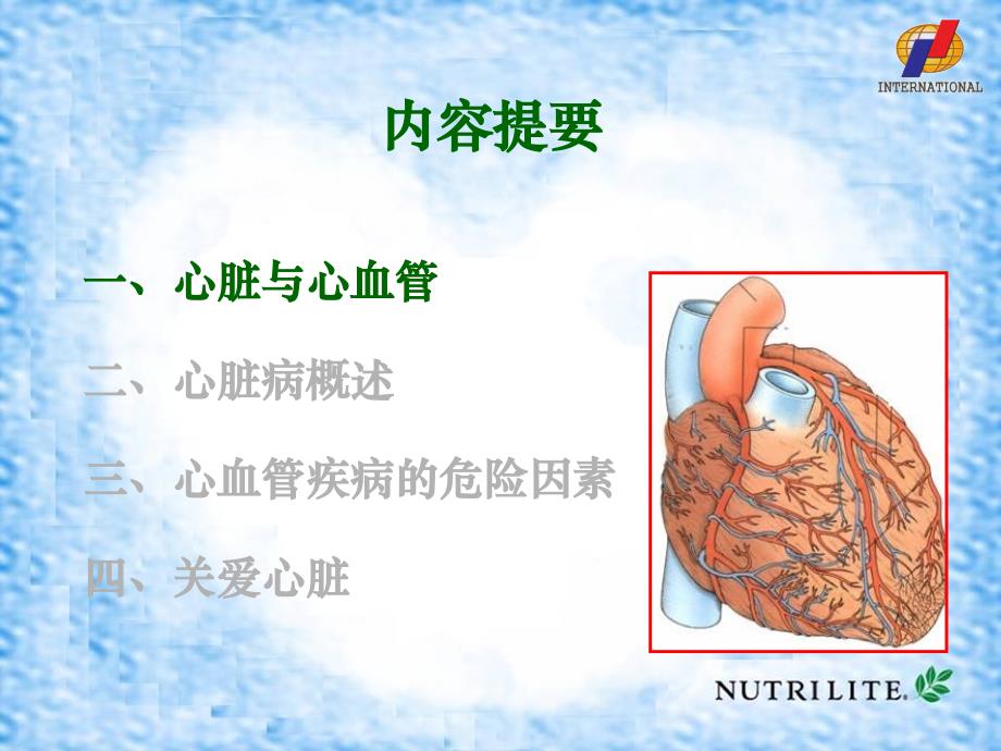 安利课件系列心血管营养1概述_第3页