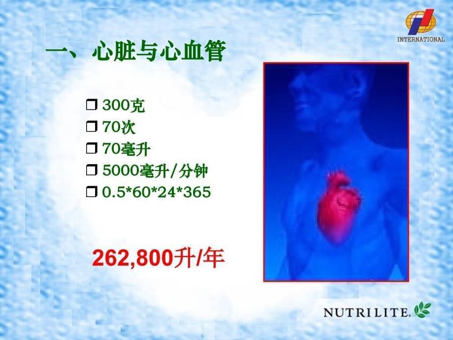 安利课件系列心血管营养1概述_第5页